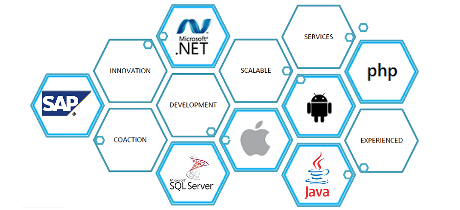 HTML,PHP.net,SAP,Oracle